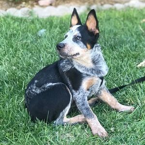 Meet your Posher, Mary